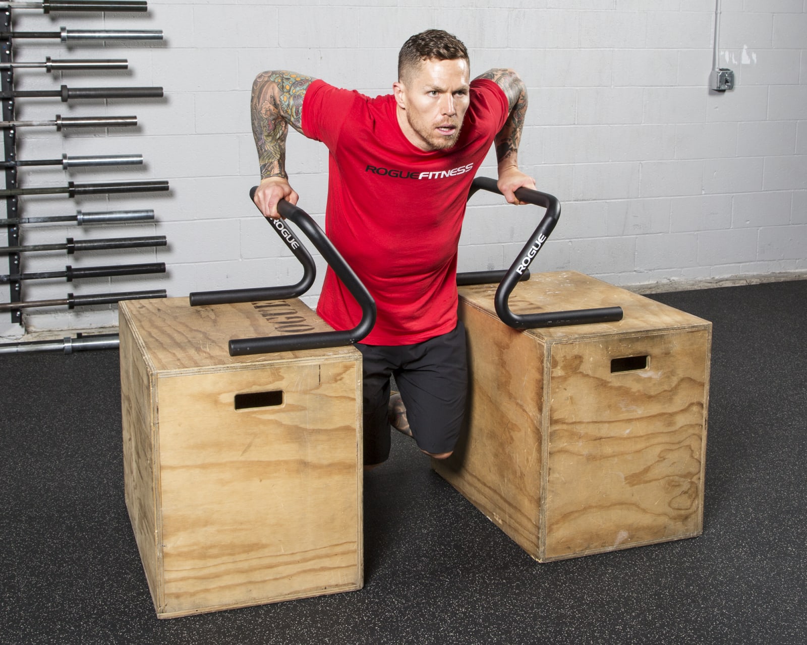 Rogue fitness parallettes 2025